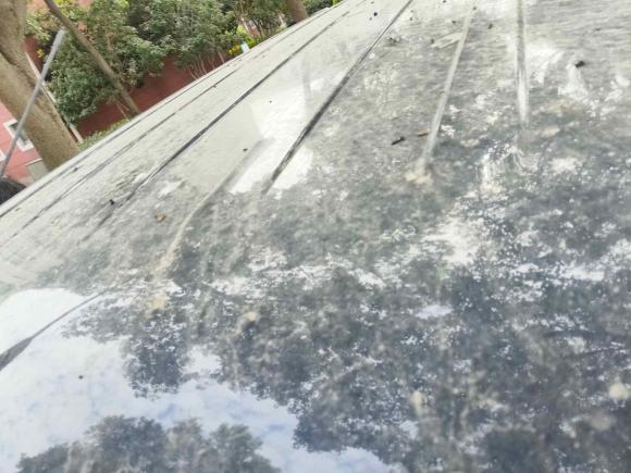 [上海·苏U] 二手五菱汽车五菱宏光PLUS2020款 1.5L 手动标准型 7座