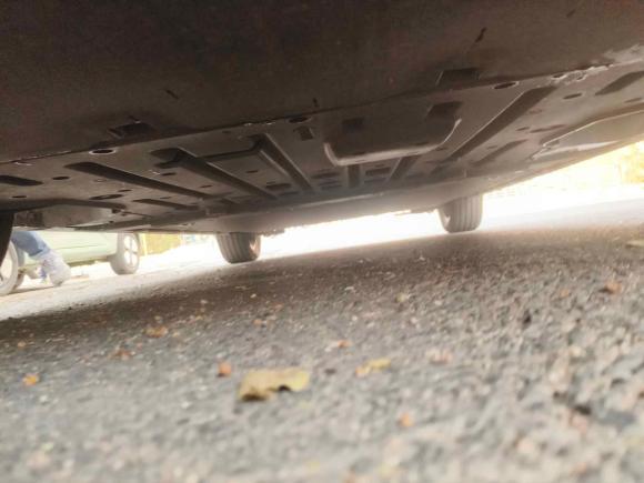 [青岛·鲁B] 二手比亚迪海豚2023款 420km 时尚版