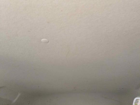 [青岛·鲁B] 二手长安长安奔奔E-Star2020款 心动版 三元锂