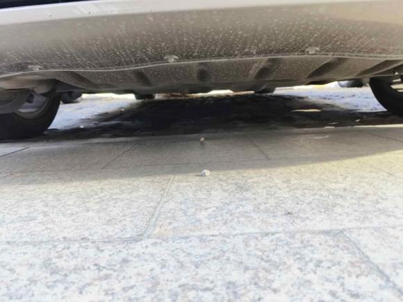 [青岛·鲁B] 二手宝马宝马5系2017款 525Li 豪华设计套装