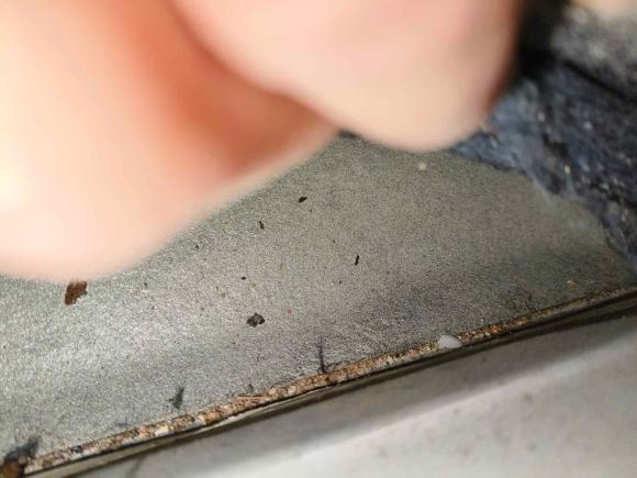 [武汉·鄂A] 二手本田思域2009款 1.8L 自动豪华版