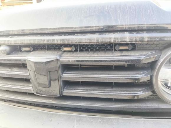 [上海·皖J] 二手坦克坦克3002021款 越野版 2.0T 征服者