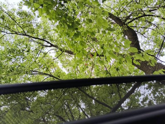 [上海·沪A] 二手埃安AION Y2021款 70 科技活力版