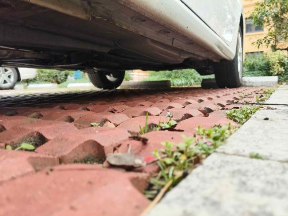 [嘉兴·苏E] 二手大众朗逸2017款 1.6L 自动舒适版