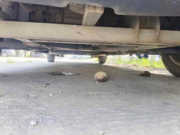 [佛山·粤A] 二手福田智蓝精灵E72022款 标准型46.36kWh