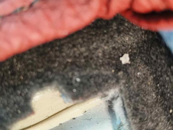 [武汉·鄂A] 二手本田凌派2019款 180Turbo CVT舒适版 国VI