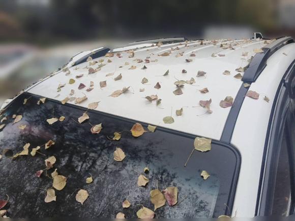 [合肥·皖A] 二手开瑞开瑞K602017款 1.5L 手动豪华型