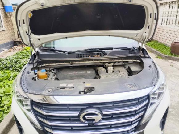 [上海·沪F] 二手广汽传祺传祺M82021款 领秀系列 390T 尊贵版