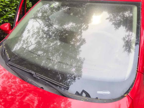 [上海·沪B] 二手斯柯达昕动2016款 改款 1.6L 自动前行版