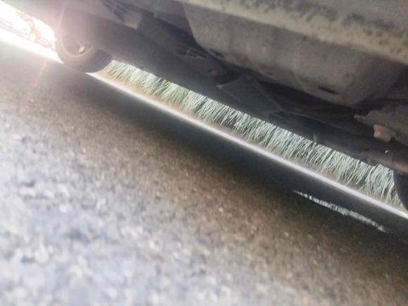 [杭州·浙A] 二手欧拉欧拉黑猫2019款 351km 亲子版