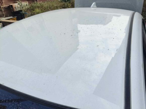 [常州·苏D] 二手本田凌派2015款 1.8L 手动舒适版