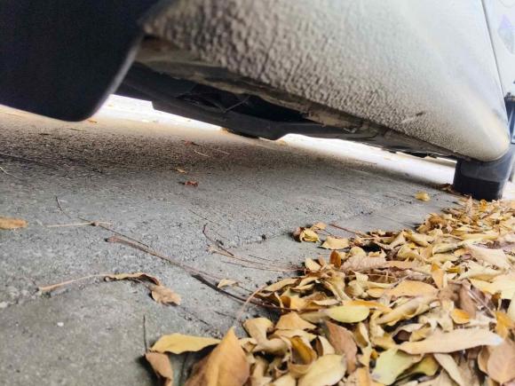 [无锡·苏B] 二手大众速腾2011款 1.6L 自动时尚型