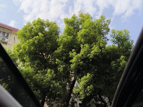 [上海·沪D] 二手本田缤智2020款 1.5L CVT先锋版