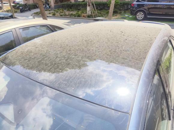 [上海·沪A] 二手比亚迪海豹06GT2025款 505海浪Plus版