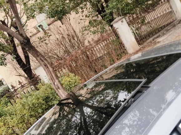 [上海·沪A] 二手比亚迪汉2020款 EV 超长续航版豪华型