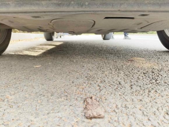 [济南·鲁A] 二手日产劲客2020款 1.5L XV CVT智联豪华版