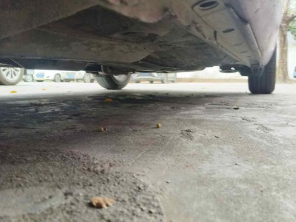 [广州·琼A] 二手丰田雅力士2009款 1.6E 自动舒适版