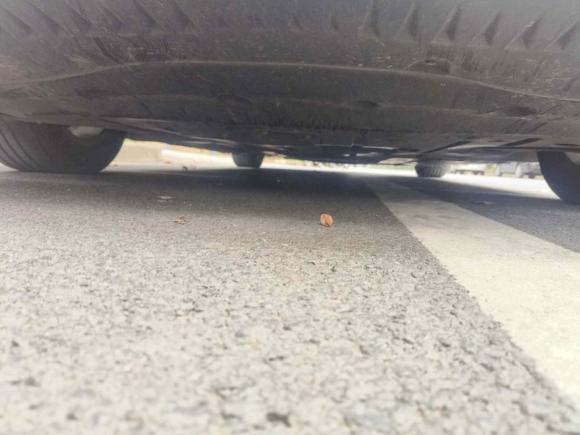 [武汉·浙J] 二手比亚迪秦L2024款 DM-i 80KM领先型