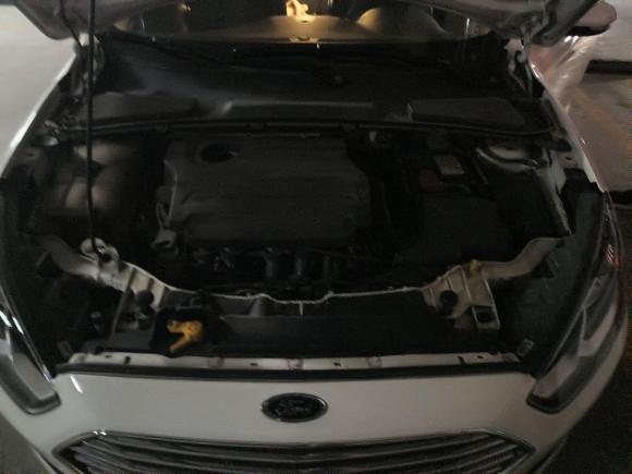 [济南·鲁A] 二手福特福睿斯2017款 幸福版 1.5L 手动时尚型