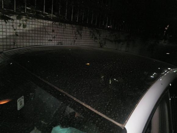 [深圳·粤B] 二手岚图汽车岚图追光2023款 四驱标准版