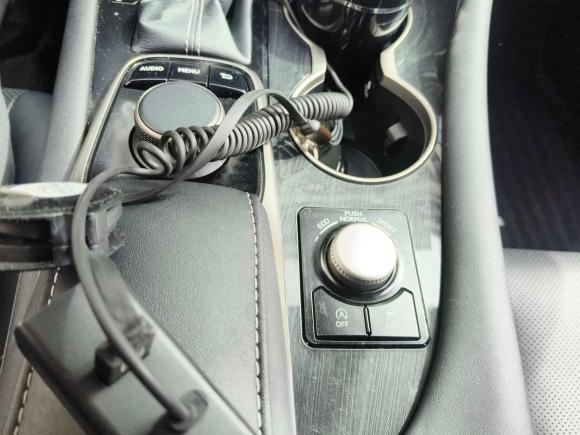 [上海·沪N] 二手雷克萨斯雷克萨斯RX2016款 300 两驱舒适版 国V