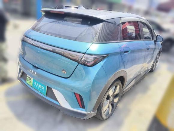 [无锡·苏B] 二手比亚迪海豚2021款 401km 骑士版