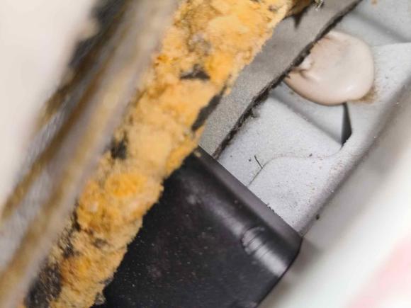 [佛山·粤E] 二手丰田皇冠2005款 3.0L Royal