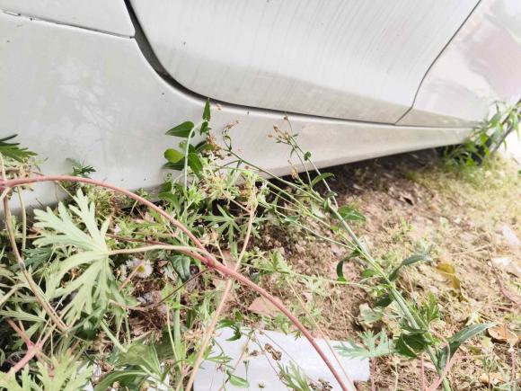 [上海·赣A] 二手现代索纳塔2013款 2.4L 自动领先版 国V