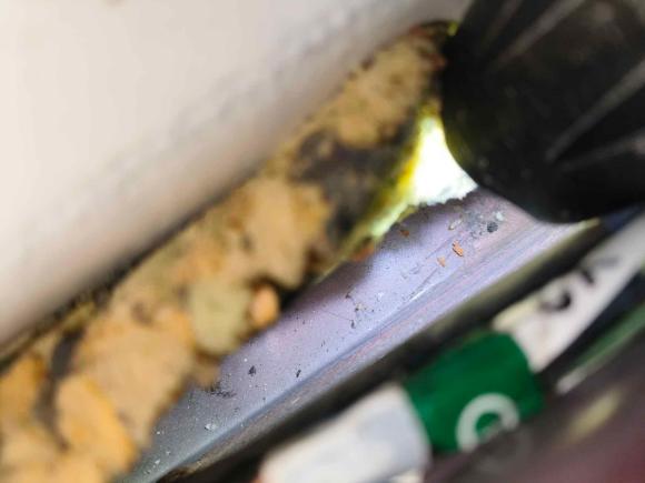 [济南·鲁A] 二手日产逍客2011款 2.0XL 火 CVT 2WD