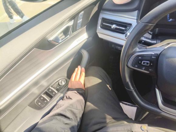 [宁波·浙F] 二手奇瑞瑞虎82021款 鲲鹏版 290TGDI 自动逐风版