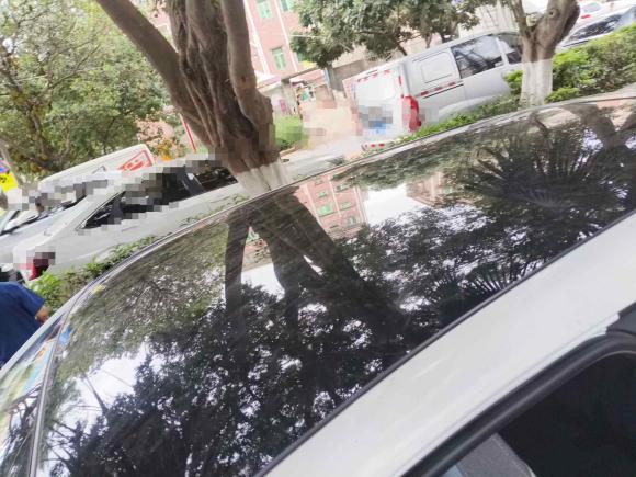 [深圳·粤B] 二手奇瑞新能源小蚂蚁2022款 改款 甜粉款 半糖版 三元锂 30.6kWh 30kW 301km