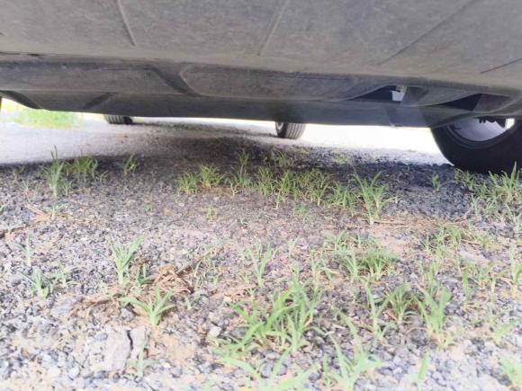 [济南·鲁A] 二手大众速腾2023款 280TSI DSG超越Lite版