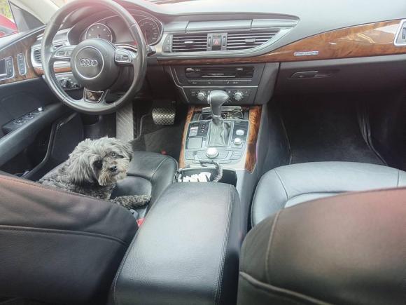 [南京·苏A] 二手奥迪奥迪A72012款 3.0TFSI quattro舒适型