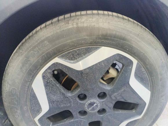 [上海·沪A] 二手比亚迪海豚2021款 405km 时尚版