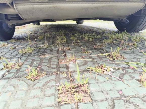 [苏州·苏U] 二手沃尔沃沃尔沃S902022款 B5 智逸豪华版