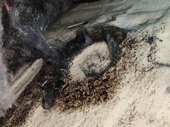 [武汉·鄂A] 二手本田飞度2011款 1.5L 自动豪华版