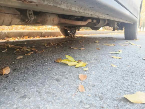 [南京·苏A] 二手长安凯程欧诺S2017款 1.5L基本型