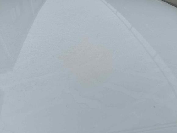 [南京·苏A] 二手大众宝来2019款 改款 宝来·传奇 1.5L 自动时尚型 国VI