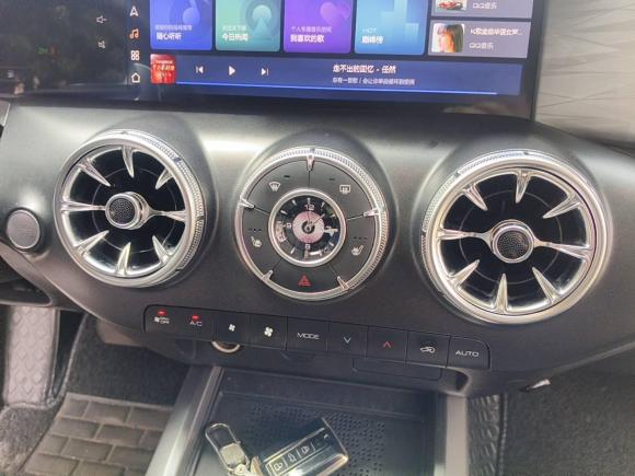 [深圳·粤L] 二手坦克坦克3002024款 2.0T 征服者