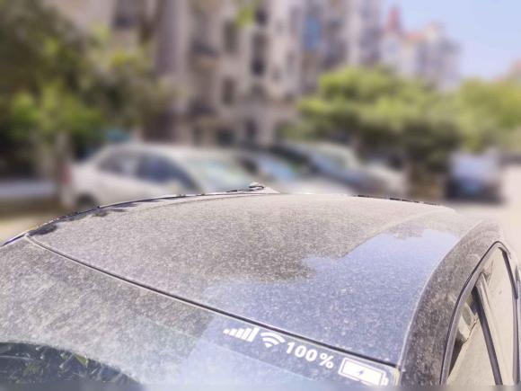 [南通·苏F] 二手比亚迪海鸥2023款 飞翔版