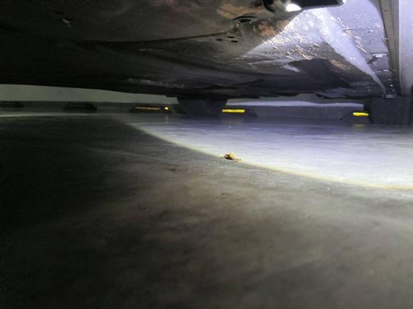 [深圳·粤B] 二手宝马宝马3系2021款 325Li M运动曜夜套装