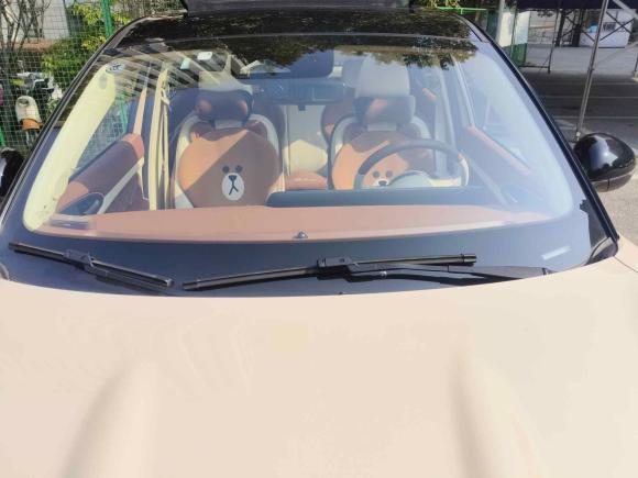 [上海·沪A] 二手欧拉欧拉好猫2021款 400km标准续航 维纳斯版 磷酸铁锂