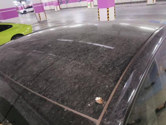 [上海·沪A] 二手特斯拉Model Y2022款 改款 后轮驱动版