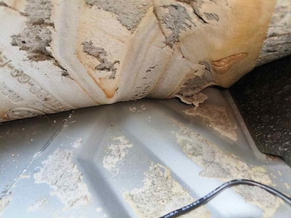 [南京·苏A] 二手smartsmart fortwo2012款 1.0T 敞篷激情版