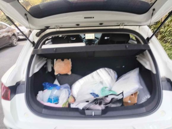 [上海·沪A] 二手比亚迪比亚迪e22023款 舒适型