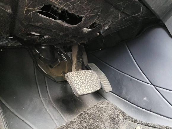 [杭州·浙A] 二手雪佛兰迈锐宝XL2019款 Redline 550T 自动锐动版