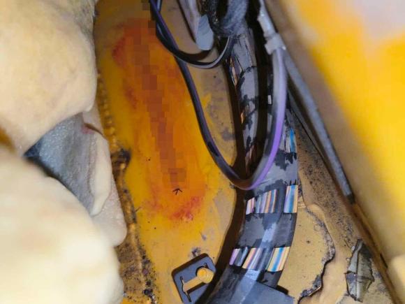 [成都·新A] 二手福特福克斯2013款 2.0T ST 橙色版