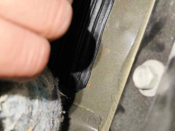 [成都·川A] 二手福特Mustang2015款 2.3T 性能版