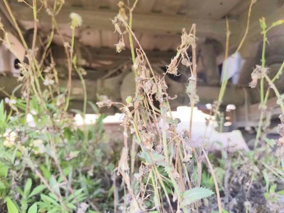 [义乌·浙G] 二手福田时代EV62023款 快充版