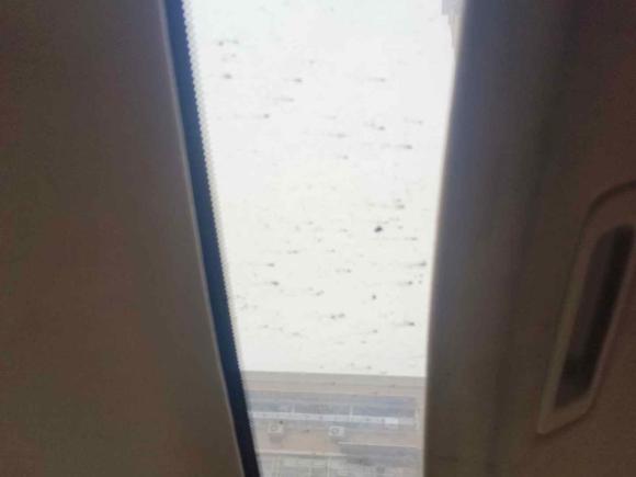 [温州·浙C] 二手本田雅阁2008款 2.0L EX